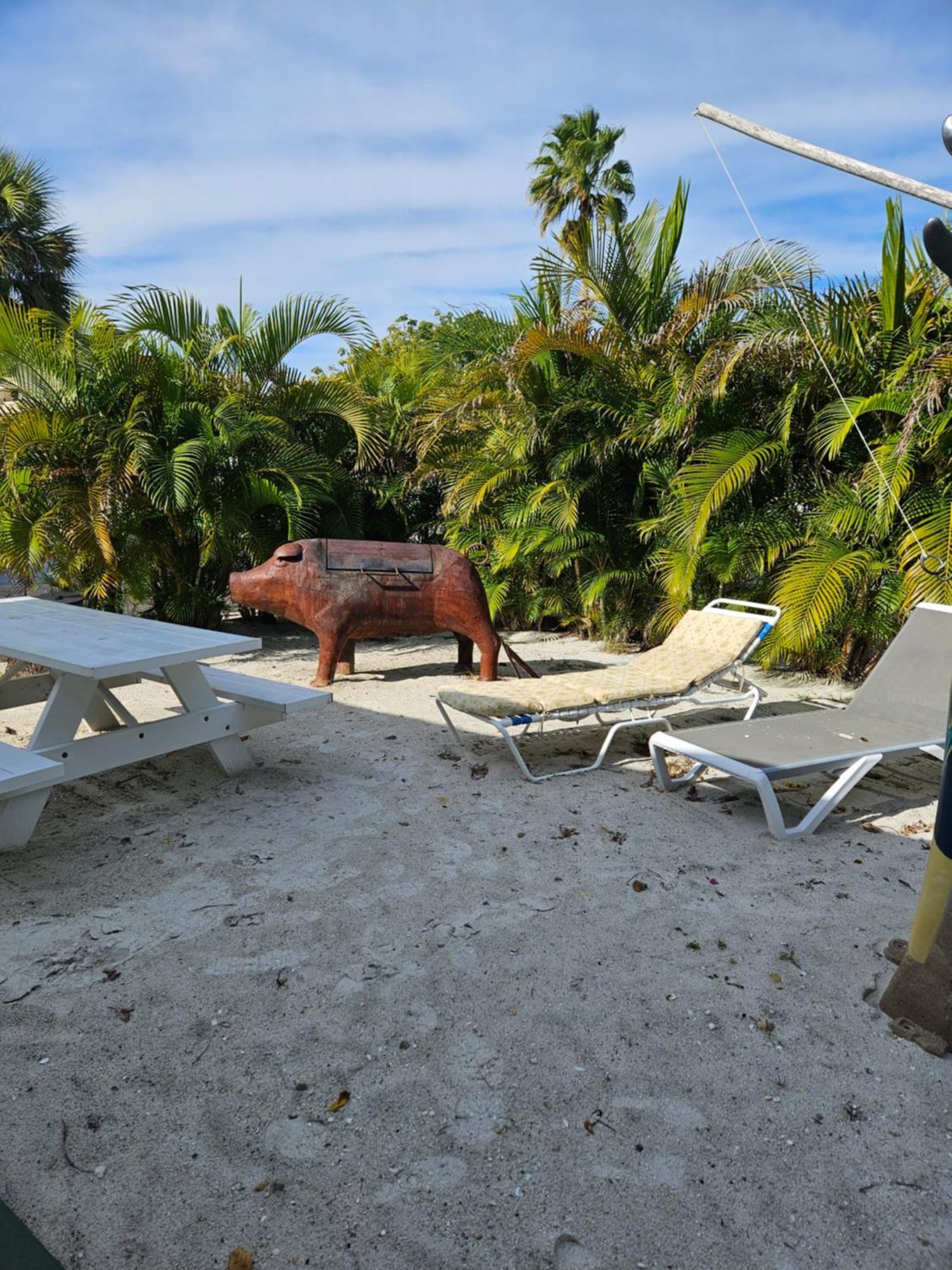 Oasis Palms Resort 圣徒皮特海滩 外观 照片